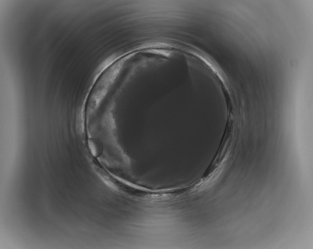 X0000111120858200907141149