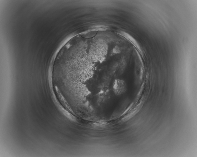 X0000111120859200907141149