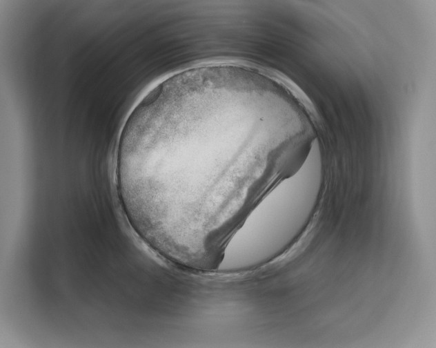 X0000111120860200907141149