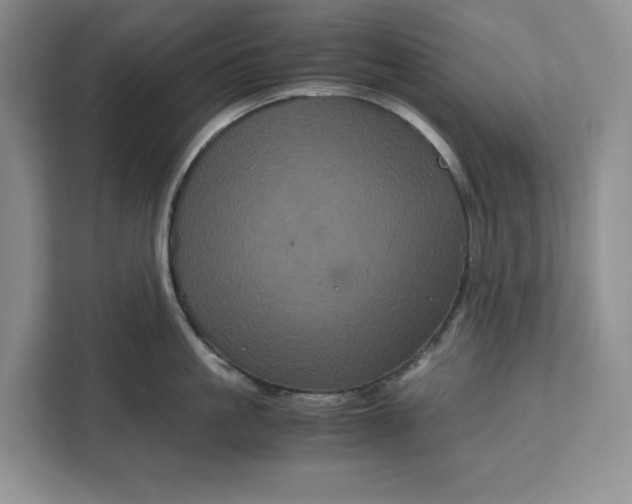 X0000111120861200907141149