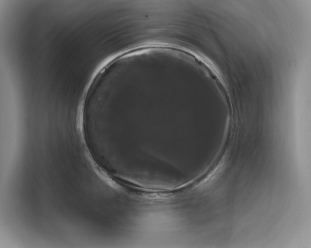 X0000111120862200907141149