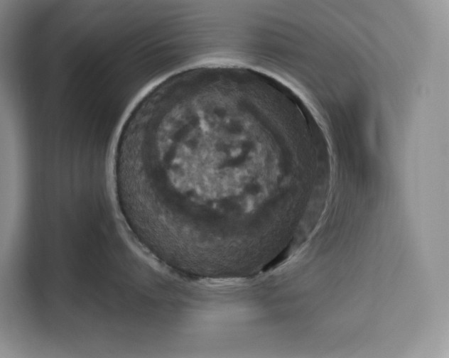 X0000111120864200907141149