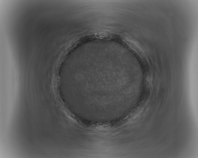 X0000111120865200907141149