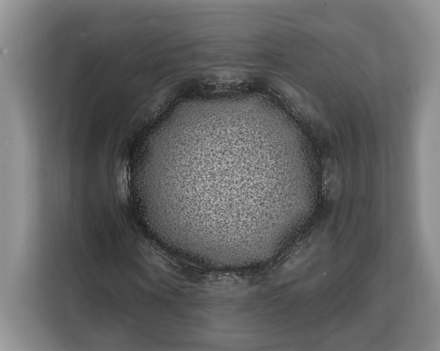 X0000111120866200907141149