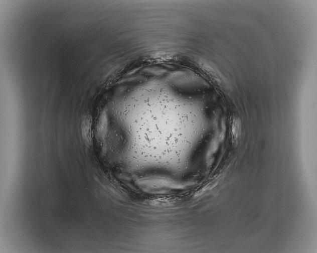 X0000111120867200907141149