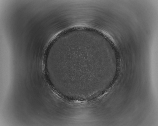 X0000111120872200907141149