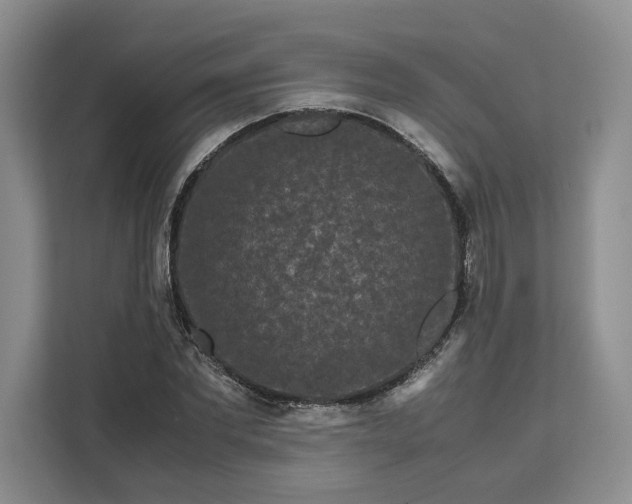 X0000111120877200907141149