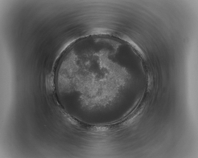 X0000111120878200907141148