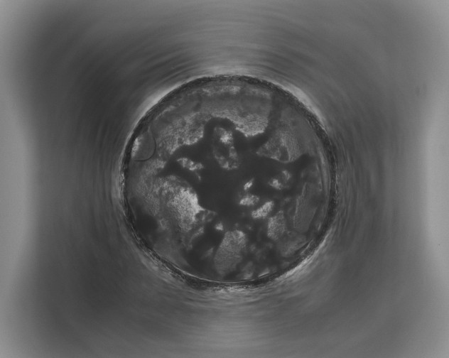 X0000111120879200907141148