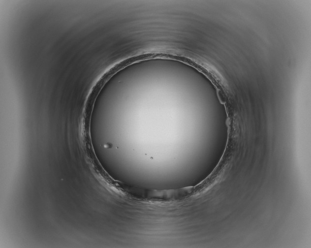 X0000111120880200907141148