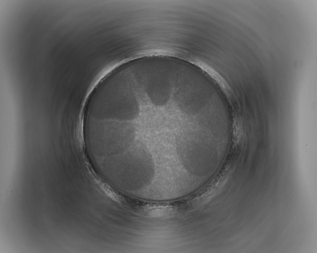 X0000111120886200907141148