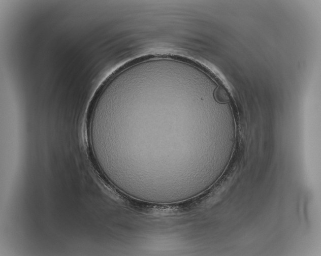 X0000111120887200907141148