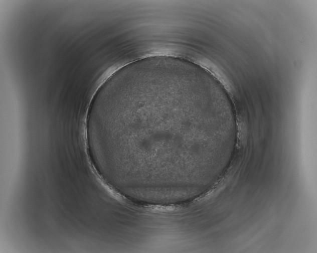 X0000111120890200907141148