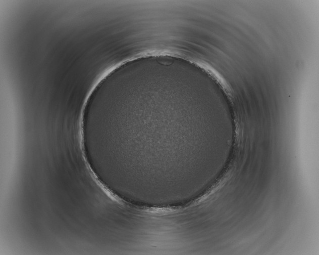 X0000111120894200907141148