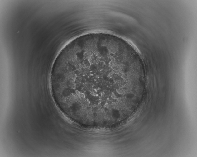 X0000111120895200907141148