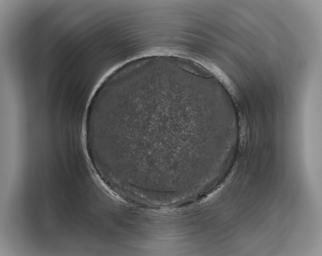 X0000111120896200907141148