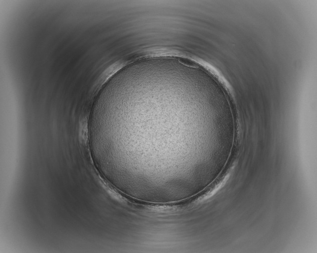 X0000111120897200907141148