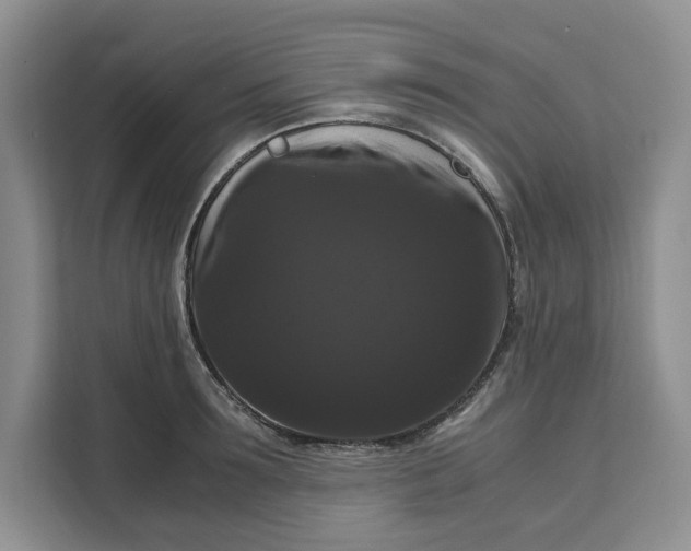 X0000111120899200907141148