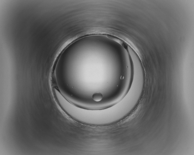 X0000111120901200907141148