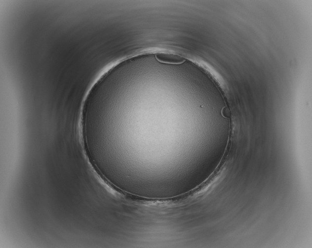 X0000111120902200907141148