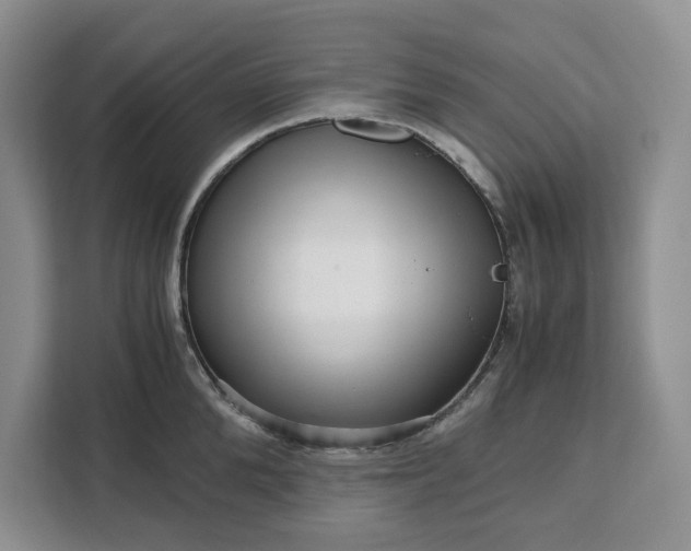 X0000111120904200907141148