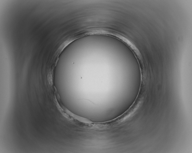 X0000111120905200907141148