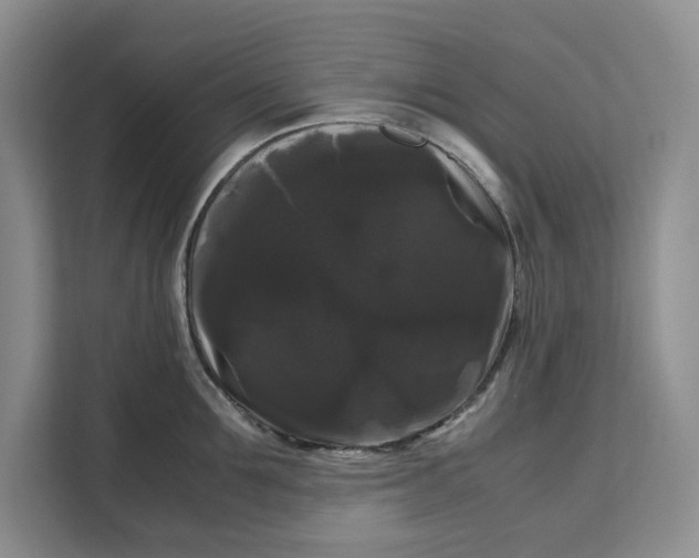 X0000111120907200907141148