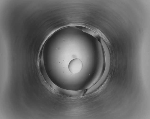 X0000111120908200907141148