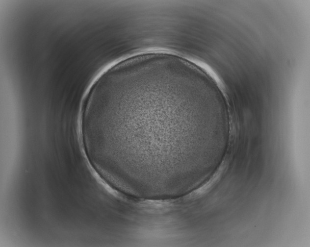 X0000111120910200907141148