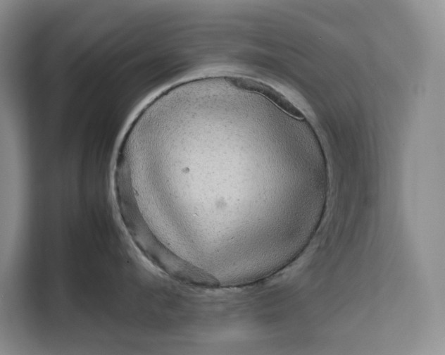 X0000111120912200907141148