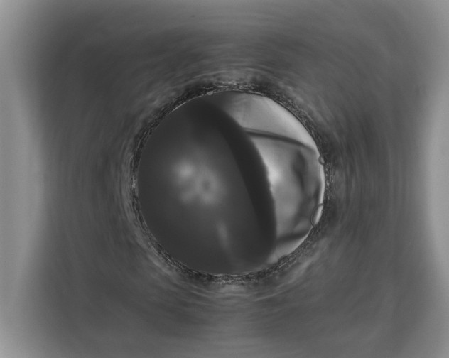 X0000111120913200907141147