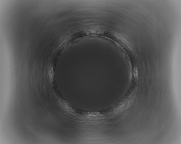 X0000111120915200907141147