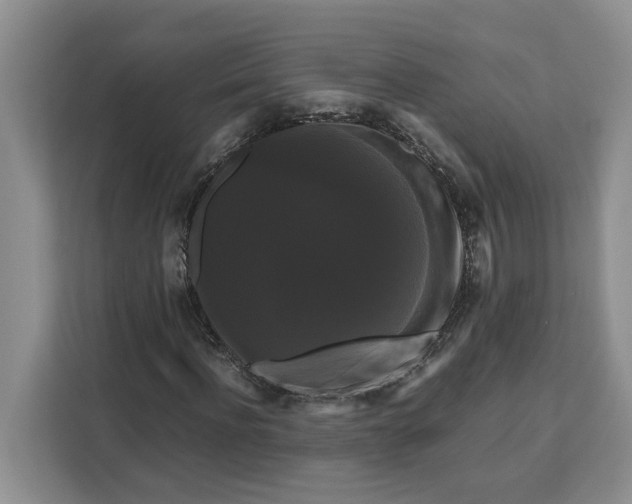 X0000111120916200907141147