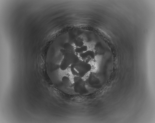 X0000111120917200907141147