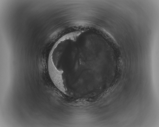 X0000111120918200907141147