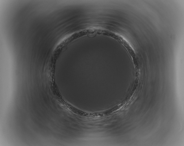 X0000111120919200907141148