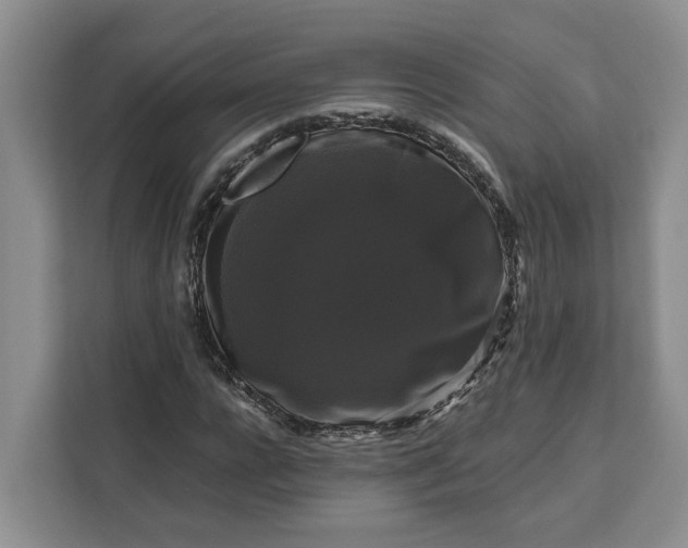 X0000111120920200907141148