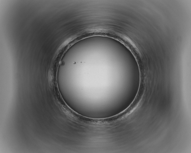 X0000111120922200907141148