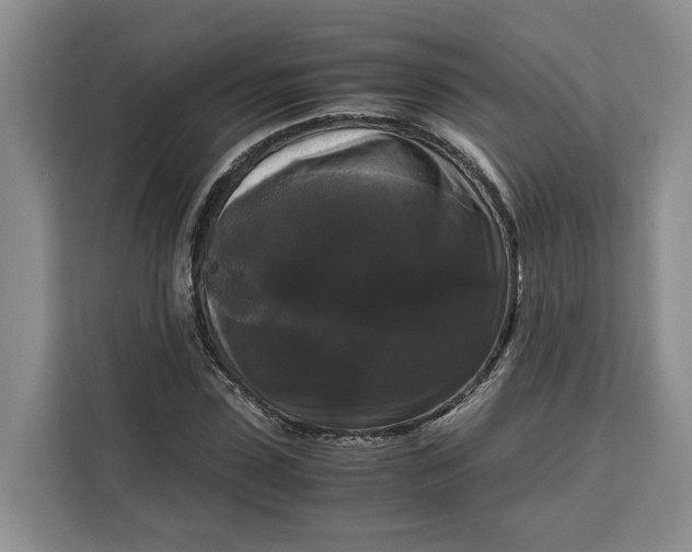 X0000111120923200907141148