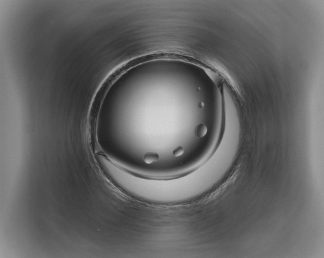 X0000111120924200907141148