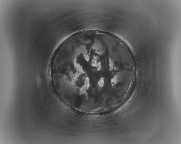 X0000111120925200907141148