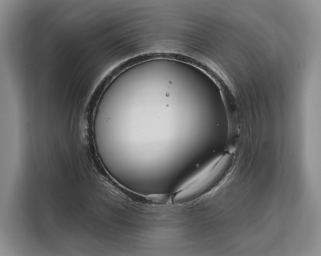 X0000111120926200907141148