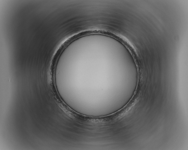 X0000111120927200907141148