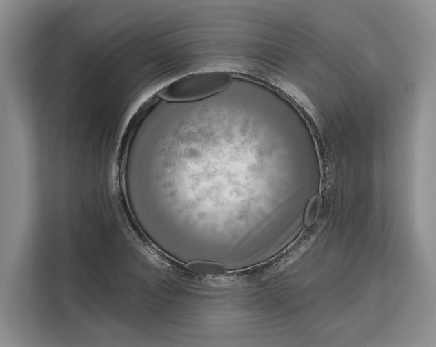 X0000111120928200907141148