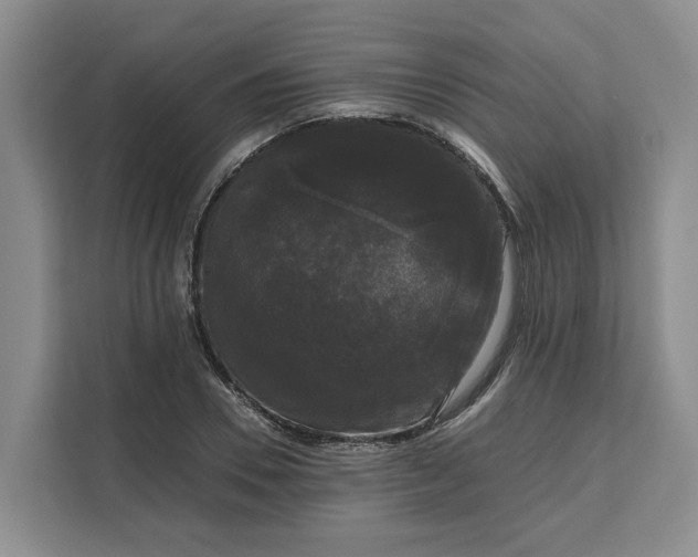 X0000111120930200907141148