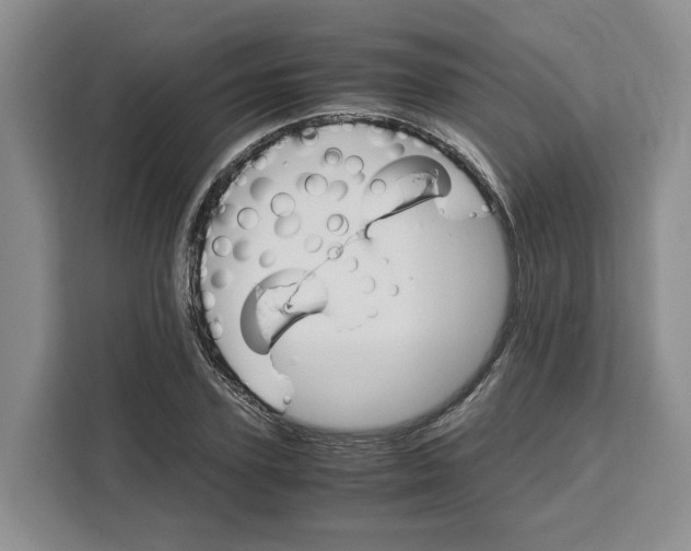 X0000111120931200907141148