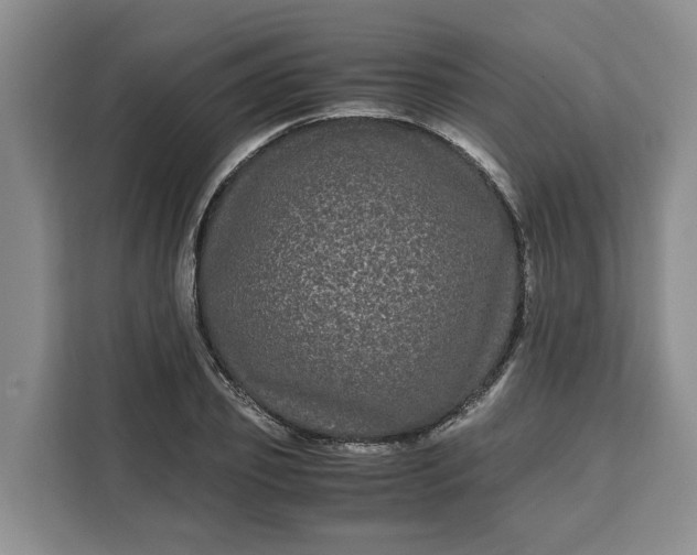 X0000111120933200907141148