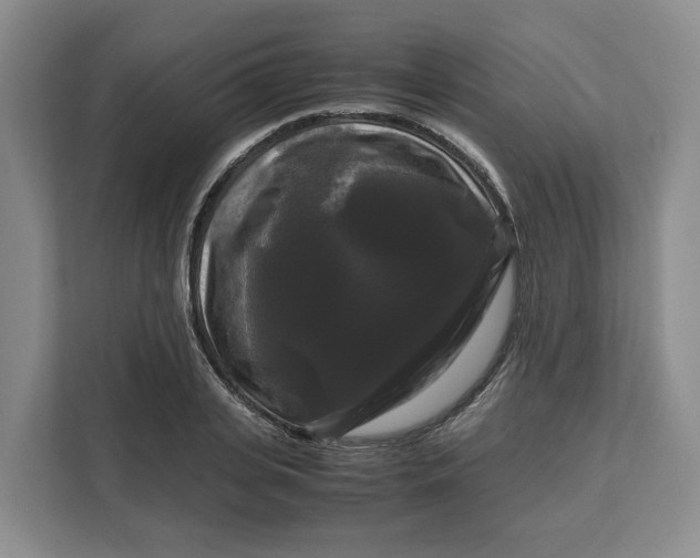 X0000111120935200907141148