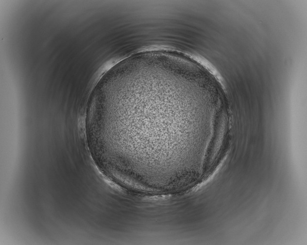 X0000111120937200907141148