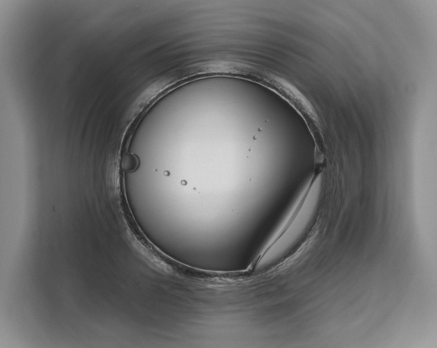 X0000111120938200907141148